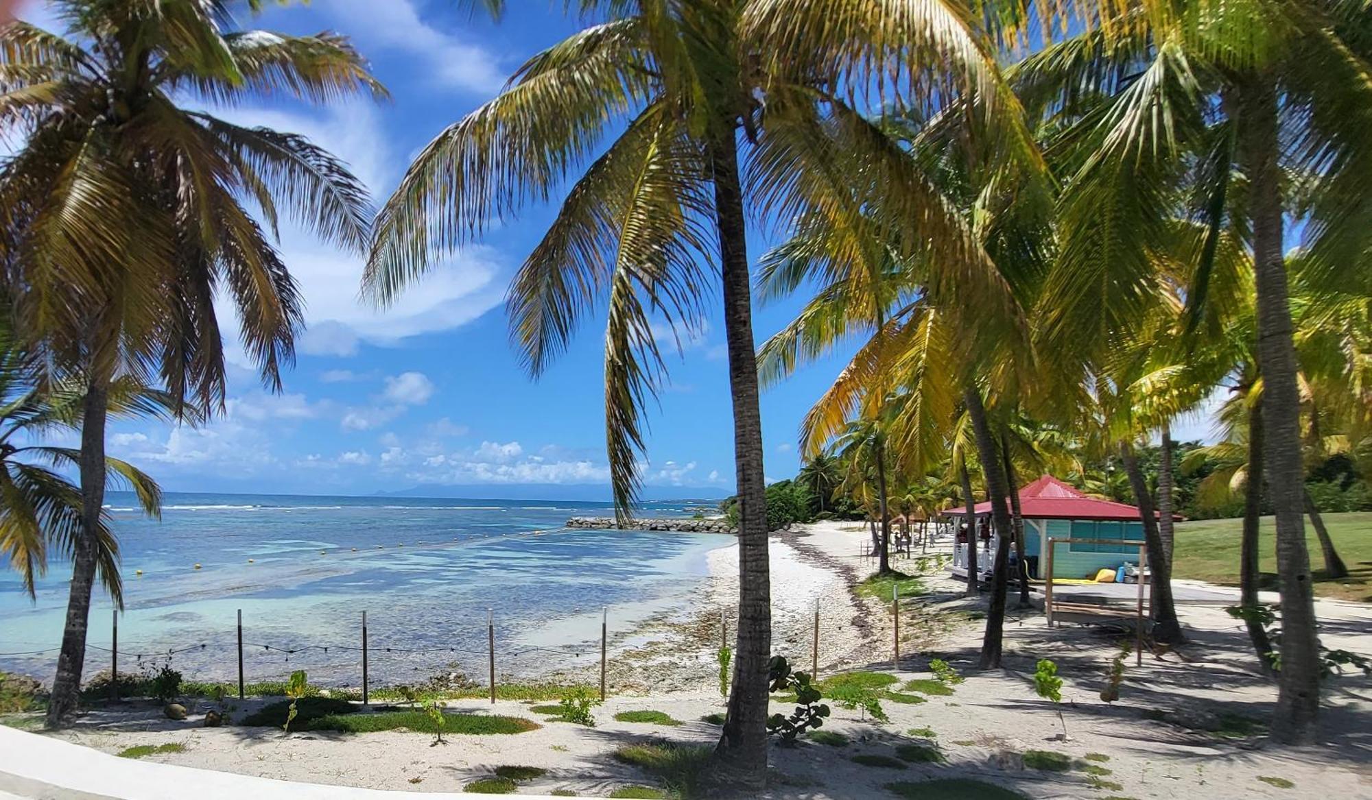 Studios Angoreva Vue Mer - Cote Plage Ou Jardin - Village Vacances - Sainte-Anne Guadeloupe Courcelles Exterior foto