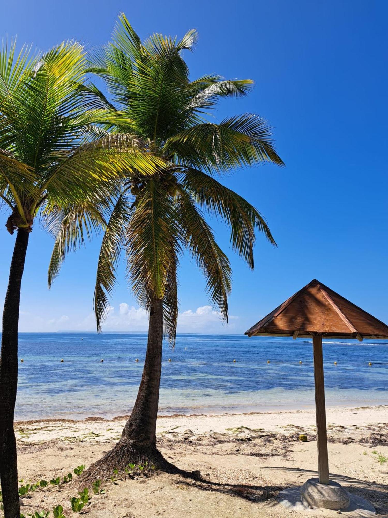 Studios Angoreva Vue Mer - Cote Plage Ou Jardin - Village Vacances - Sainte-Anne Guadeloupe Courcelles Exterior foto